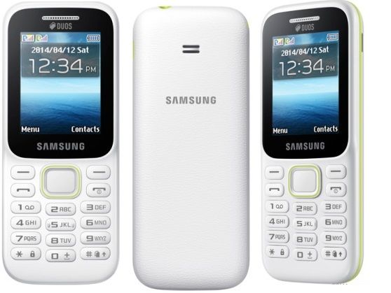 Samsung B310 (Dual Sim,