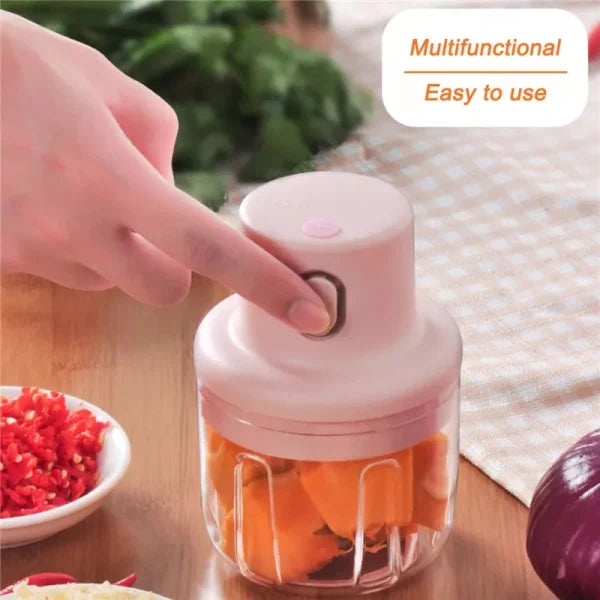 Electric Mini Grinder Food Chopper (250ml)